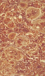 Writing was as meaningless, and significant, as the marbling of decorative end pages of old books. 