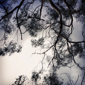 I am the sort of person who loves to spot a pattern. Even when my phone takes a photo when I'm not looking. 