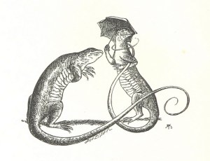 11303480125_cca352ed5c_z