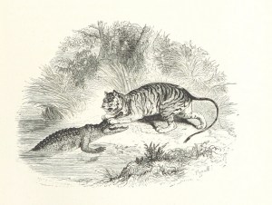 Not sure if epic battle between the forces of good and evil, or just nature.  Or two friends playing. 