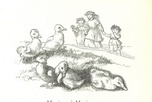 Three Alternate Investigators offer Deducktions