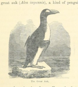 It's not aukward for me to support the notion of evolution, and also folktales. 