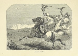 Action horses are go, wing commander!