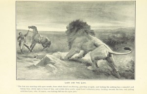 Maybe the brave horse joins with the lion to fight off the stupid human who has the horse captive ...