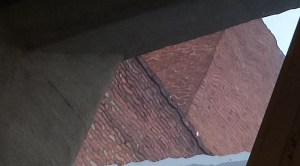 View through my wavy window 