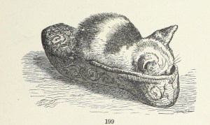 I will try to get enough rest and always wear sensible shoes. 