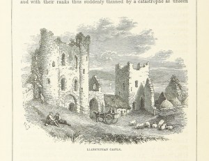 I liked that the Singing Towers were natural features and not an architectural feat. But some preferred them pre development. 