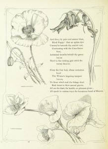 Found this, and I thought it apt. 