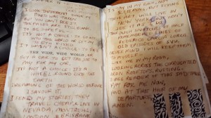 Just a fuzzy snippet. 