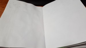 And lo, the void stares into me. 