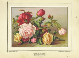 There are writing brickbats and bouquets. Like this.