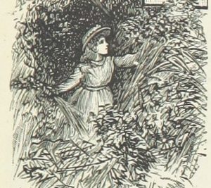 Lost in the forest of writing tasks. 